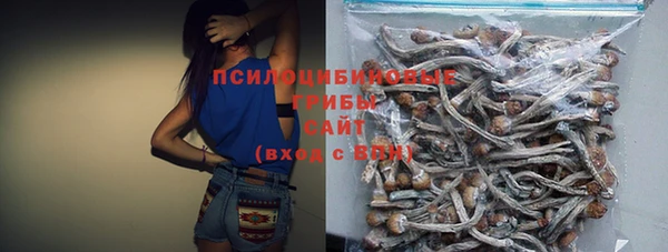 a pvp Алзамай