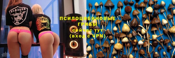 2c-b Абинск