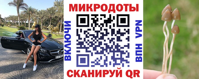 Псилоцибиновые грибы GOLDEN TEACHER  Ипатово 